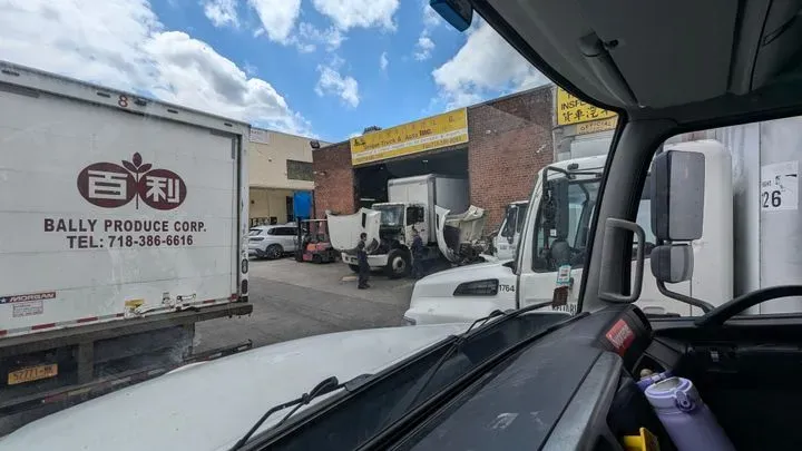 https://cdn.trust-mechanics.com/photos/MXWW7coDf93kIVEAbtVM/46309023-49a9-44e3-9be9-0d87bdf88dea_720x720