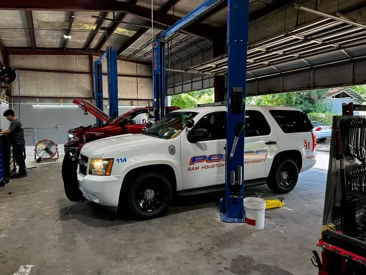 https://cdn.trust-mechanics.com/photos/MmusgoQprrsUP9Wpuysi/a5b085c0-ba31-45bc-b1e5-f3cb287d4f5d_720x720