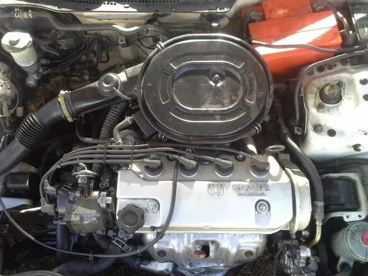 https://cdn.trust-mechanics.com/photos/NkTdN2fjoNk8O75oLpfL/d017a8fb-b1f5-4e77-829f-9d2135689d39_720x720