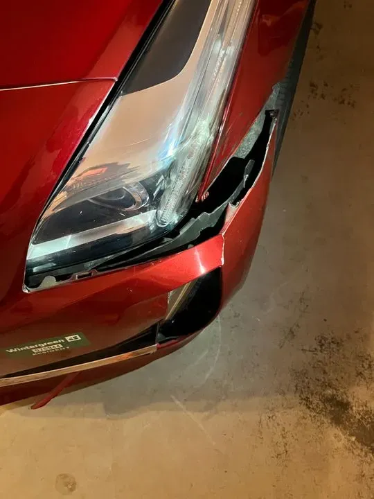 https://cdn.trust-mechanics.com/photos/NzSBzVugQBLwo83aZrCw/a313c7e5-61ed-4a88-86d4-a68ff99261e4_720x720