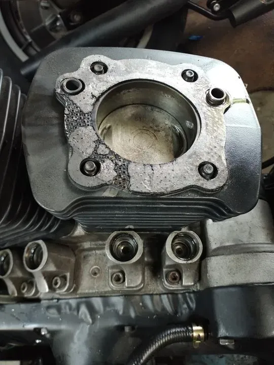 https://cdn.trust-mechanics.com/photos/P4IskCobKR5AKPOwbjyg/17e05227-1503-49da-8c51-fae924439831_720x720