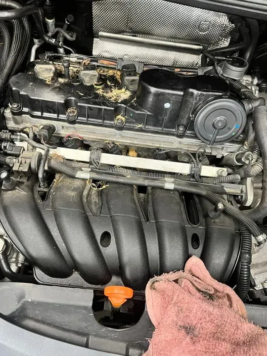 https://cdn.trust-mechanics.com/photos/PlGYPadAqV8h7XLgFHZh/89d53640-2b64-4ee9-9d03-b02413d6b3e3_720x720