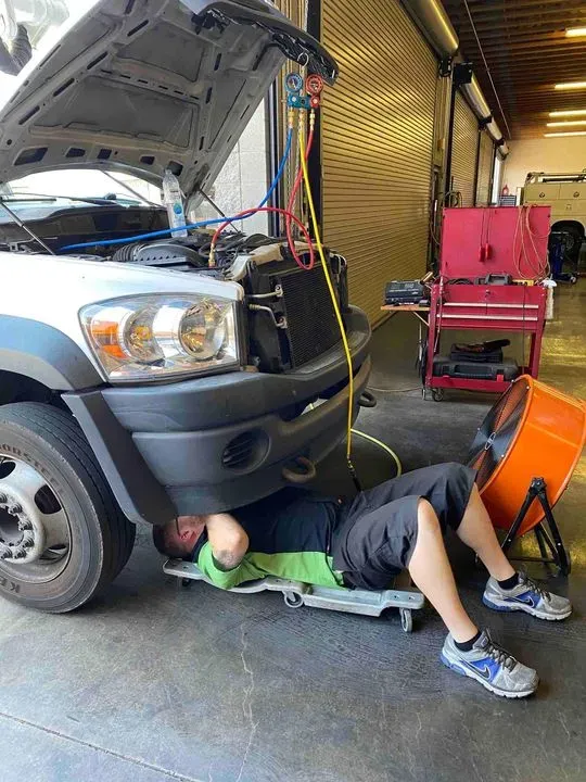 https://cdn.trust-mechanics.com/photos/Q8albCQKMA1iYiWUIvg0/e320db3a-70ab-4937-82e9-7af2a3f94391_720x720