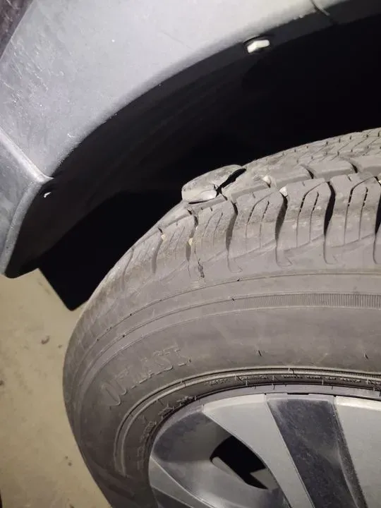 https://cdn.trust-mechanics.com/photos/RMn3h1fdp4qTGStf6obX/8f81aec8-7222-4c1c-bd78-7bc28e9c9878_720x720