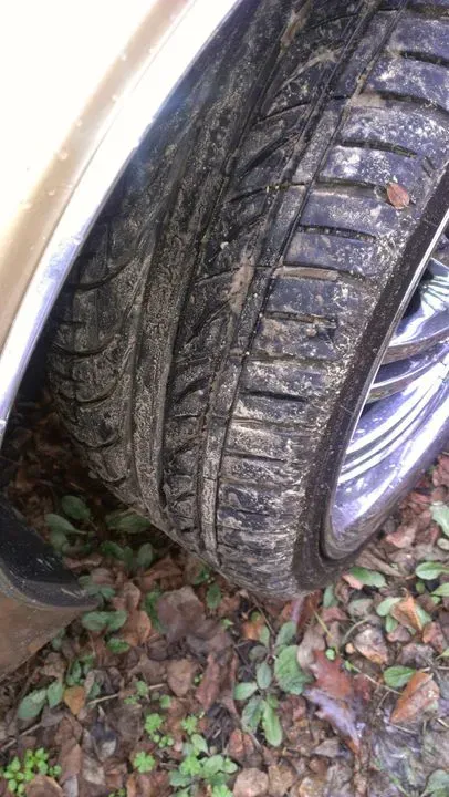 https://cdn.trust-mechanics.com/photos/S4Jg9loTnluPueHwDdLd/024f6107-062f-40d5-8bfa-c18d99c1d287_720x720