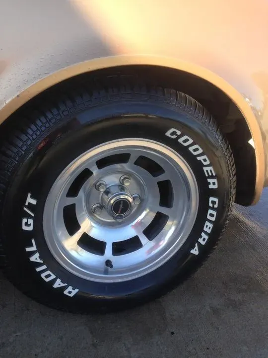 https://cdn.trust-mechanics.com/photos/SdOTDdhA2awDSGz34kSO/65518ad0-a79f-4534-856d-43cd8ee0da5c_720x720