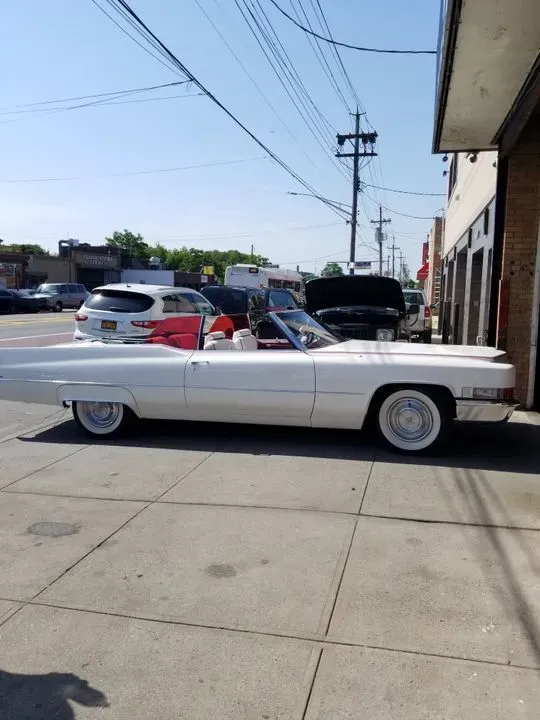 https://cdn.trust-mechanics.com/photos/TBXlm7JPbwCcqy2YusJN/ac1995a9-271c-4a93-b2f4-99728c8e5459_720x720