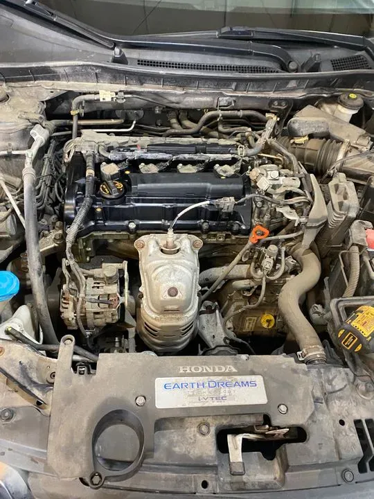 https://cdn.trust-mechanics.com/photos/TWcGftTbBEf2K7sgZtib/4383136a-18d0-43d1-8039-000f824973f8_720x720