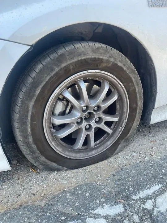 https://cdn.trust-mechanics.com/photos/U97kDp4m2XNLIg45B7Rr/9c8b2ac6-c7be-4912-beec-6087f3a77fc3_720x720
