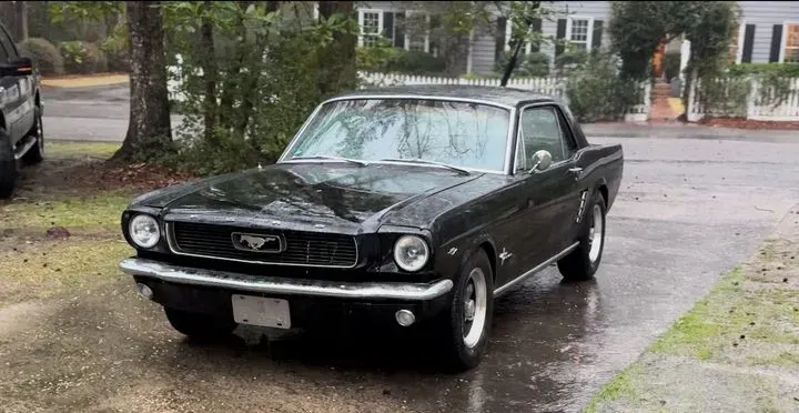 https://cdn.trust-mechanics.com/photos/UGa1EX3o4wAkdIsZDas4/10e7f63f-1648-4c67-8fd7-358887712473_720x720