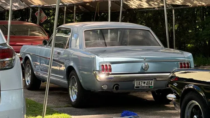 https://cdn.trust-mechanics.com/photos/UGa1EX3o4wAkdIsZDas4/f769715a-2762-427a-bfed-a3fa59731bf7_720x720