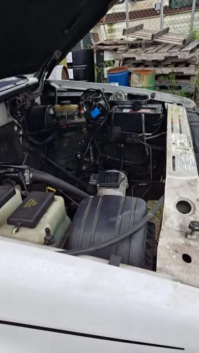https://cdn.trust-mechanics.com/photos/UPtmuZjKLus1ut413KEf/0bd86cd4-c5ed-4858-b638-ec3a189162d6_720x720