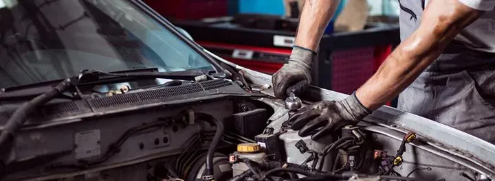 https://cdn.trust-mechanics.com/photos/UX2tgsPRPOum2SzLVeIi/e025bfe2-20c9-4eb8-947c-09e3563d2ee2_720x720