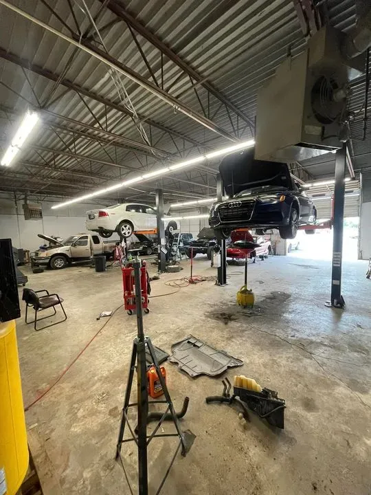 https://cdn.trust-mechanics.com/photos/VdaKLmtdoydfVcKxYtJk/be74e066-383b-4e5f-9e6c-f48d4e9de447_720x720