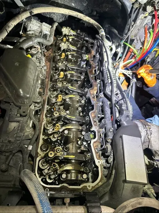 https://cdn.trust-mechanics.com/photos/Vem3xk4JzWNRIwATNpyX/5a593200-ab28-4c2e-8d05-b2ad53a4328f_720x720