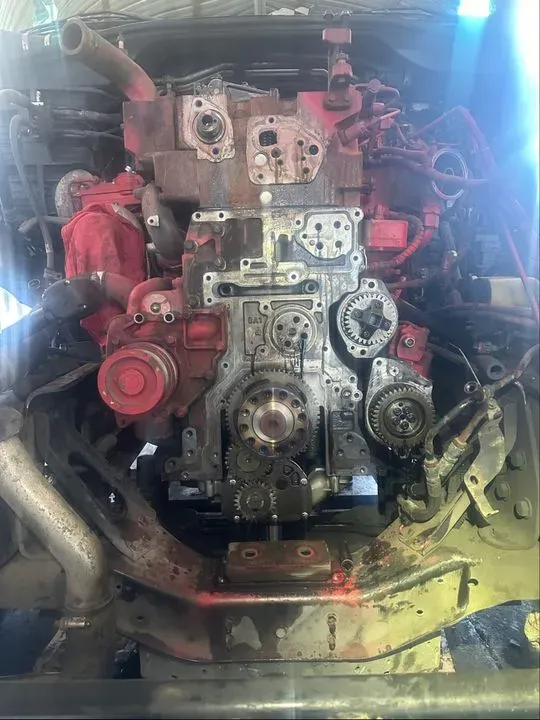 https://cdn.trust-mechanics.com/photos/Vem3xk4JzWNRIwATNpyX/7bfc0e1a-4074-4819-8d93-fb9b5d0921e5_720x720