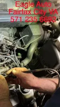https://cdn.trust-mechanics.com/photos/WW00Ixif2SrNpODJIINu/91d2cfa7-a23a-4d92-9dba-22c923d41a71_720x720