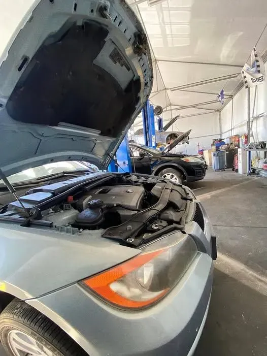https://cdn.trust-mechanics.com/photos/Wl2Abi8SB8EFtUueJGKd/aec70972-170a-421b-b2bf-25a3ab2be7f3_720x720