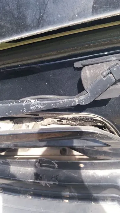 https://cdn.trust-mechanics.com/photos/WoCrx2cJ1YygAsXs3cHf/43957616-0b5b-41e7-a92b-2e1f124b6849_720x720