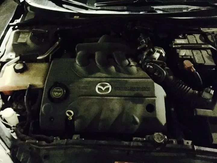 https://cdn.trust-mechanics.com/photos/WvGhBxPG27CtcLP9U5SN/d3be046b-2628-4bcb-9fc1-720a8edf477f_720x720