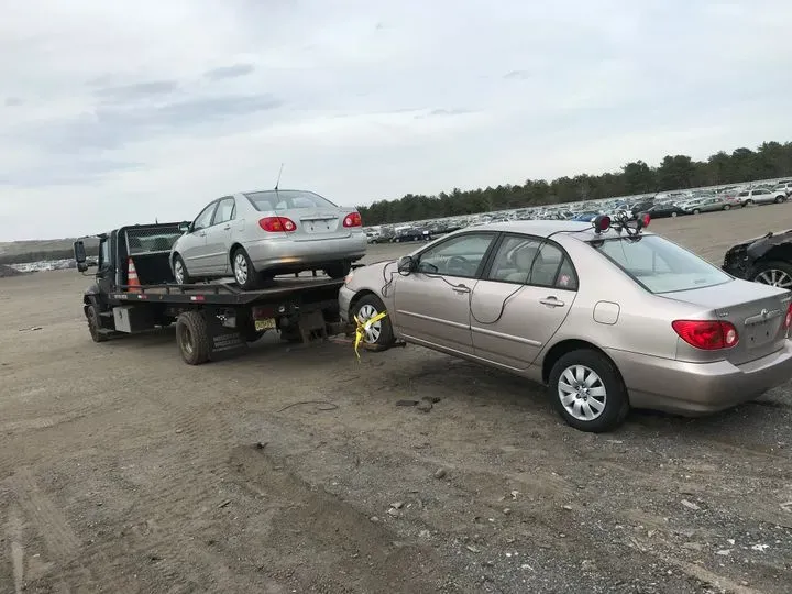 https://cdn.trust-mechanics.com/photos/XbnW5lps7mbHbP4pv1Gc/d1735c19-8a59-444c-80f3-d3beae0a8d8c_720x720