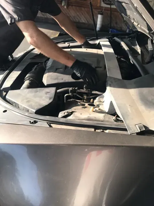 https://cdn.trust-mechanics.com/photos/XnL10yE9FNEbNkZuaDVs/5cd8f5c3-a084-44ba-b9ce-35c0cff4897f_720x720