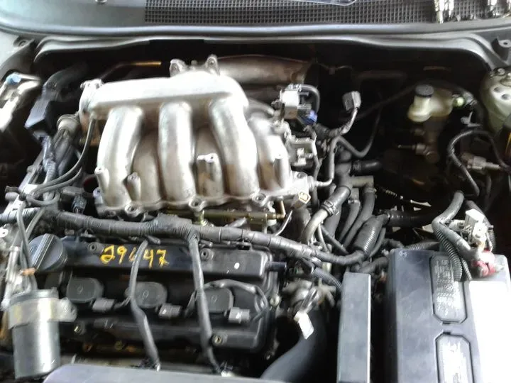 https://cdn.trust-mechanics.com/photos/XuwbQg6UnMmvGuPb4dLD/b35df147-68ed-4868-aa35-513c0f2be01d_720x720