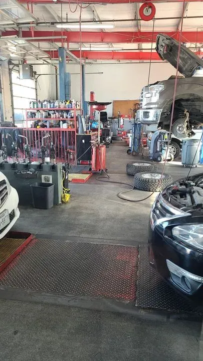https://cdn.trust-mechanics.com/photos/Xz7q2XvIcYTQcI8yOzIO/47008ad5-6184-4725-ad6a-6b8b904583df_720x720