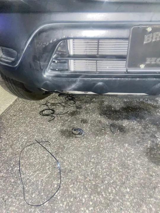 https://cdn.trust-mechanics.com/photos/Y9Gx4RQ8T4poOQvb4QwP/5b841f5a-96df-4638-97c1-3a6e970a6b21_720x720