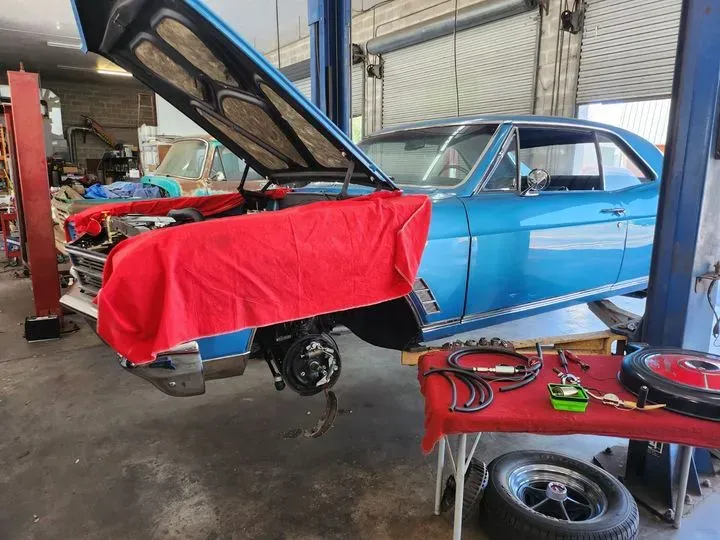 https://cdn.trust-mechanics.com/photos/Y9Gx4RQ8T4poOQvb4QwP/8cc82a5e-0e25-4ed3-b4e4-2112f3abceeb_720x720