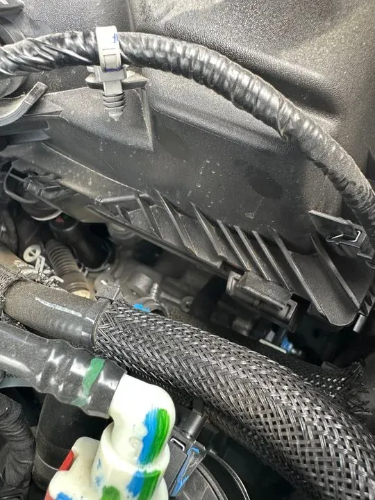 https://cdn.trust-mechanics.com/photos/YLxS967IyYeygqWmdGGy/81e39293-6636-42cd-aff5-941c4ef84abd_720x720