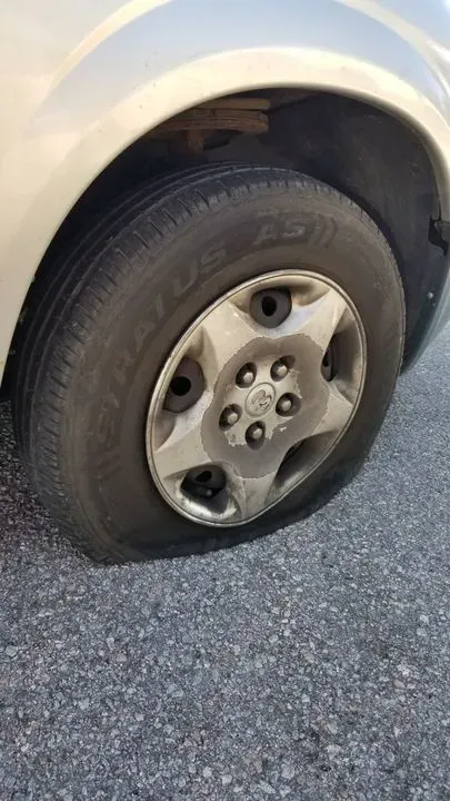 https://cdn.trust-mechanics.com/photos/YRxqMxKplzmLFRig6lud/3ae3a864-8015-4148-807d-e440d8c53acf_720x720