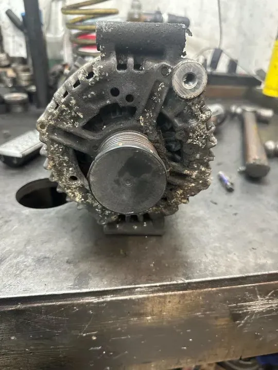 https://cdn.trust-mechanics.com/photos/Yo6ADceyQCXlYho31Cte/af40f23e-8971-4d5a-940e-464f5beefef9_720x720