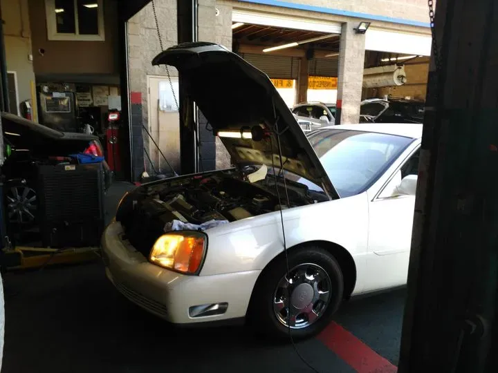 https://cdn.trust-mechanics.com/photos/Z7DpFREUh5jyb0oe0Zdt/206dcd89-a38c-4299-a08e-49d0c080d9f9_720x720