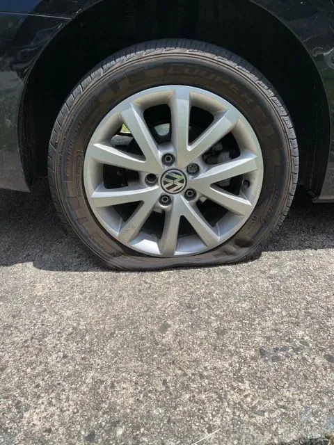 https://cdn.trust-mechanics.com/photos/ZbbLaqPnNRhmVIHvmxZR/53eafbc8-c37f-41d4-a93f-d5f68047bbd2_720x720