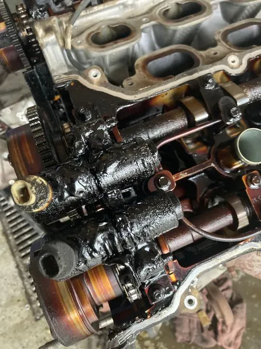 https://cdn.trust-mechanics.com/photos/ZpoiEl2C4WifuzNAYsEu/bedfa25b-b832-46f5-b949-376862efcf17_720x720
