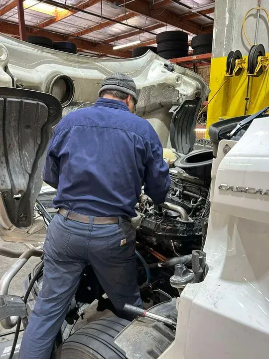 https://cdn.trust-mechanics.com/photos/b3kITUGJh3hc7PU0Scrp/0977dc41-326b-4081-bb05-0b9452418cc8_720x720