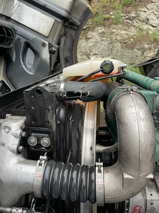 https://cdn.trust-mechanics.com/photos/b3kITUGJh3hc7PU0Scrp/dd1a24ae-f021-4464-b9fd-668769f88bc1_720x720