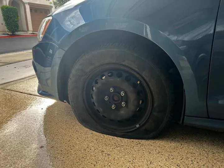 https://cdn.trust-mechanics.com/photos/bQOiOmKTPQw3jD1YWy1h/623ad02c-31f5-4713-ba36-50e8c71914ff_720x720