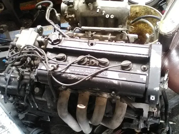 https://cdn.trust-mechanics.com/photos/cRE1P9LR2CWVDWeIipCO/40c9981c-e018-4e37-8933-eaaf83b9eaa2_720x720