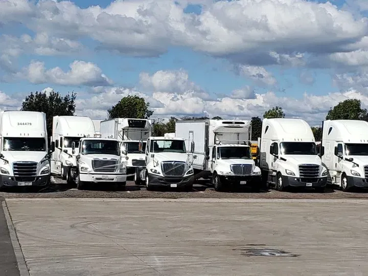 https://cdn.trust-mechanics.com/photos/clyyujmCynWnFPqdSH06/3dc2065a-454b-4ec2-9743-58994ed2c0b3_720x720