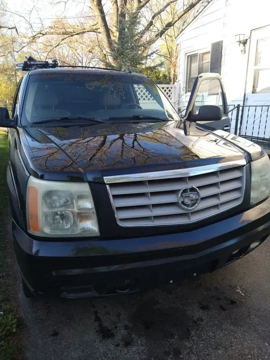 https://cdn.trust-mechanics.com/photos/cm1n2VW8wRx591oRl9d4/9358d282-1215-4503-88bf-8ae64bc3511d_720x720