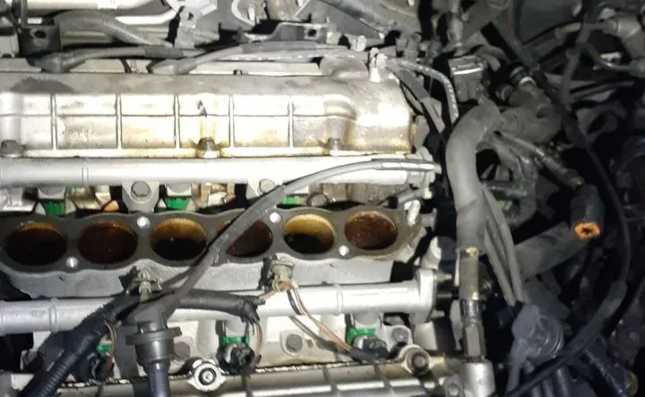 https://cdn.trust-mechanics.com/photos/dbuYtiG0JOq4mZuQ85rT/0af74fa4-f03a-467c-a30c-5142bb970c95_720x720