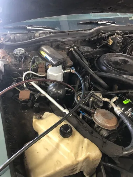 https://cdn.trust-mechanics.com/photos/eEppMQHwcvpSCrMvCxzF/a7e756ee-ff1c-44fa-aed9-470f90dbb9aa_720x720