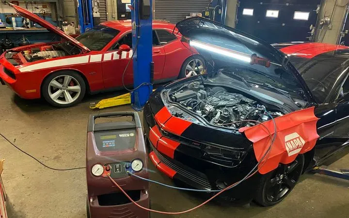 https://cdn.trust-mechanics.com/photos/eMwbXrqGinaRHAXVsAdS/3b562f40-7094-4ea8-a4e3-8fb2fb7fdaba_720x720