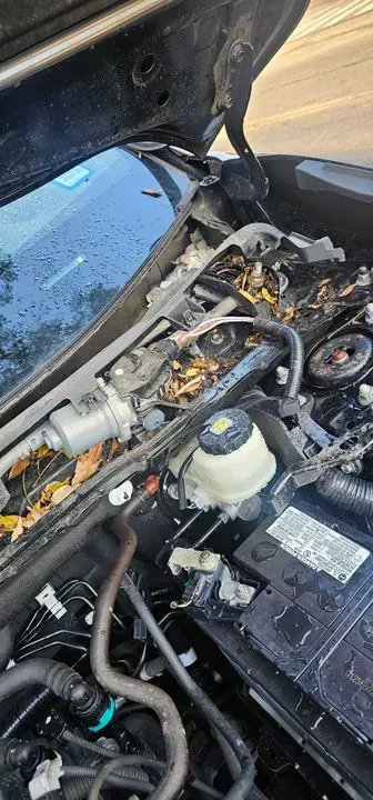 https://cdn.trust-mechanics.com/photos/egOoXAs70KV590F3koQz/cd2f1b01-31ff-4ee8-887c-2101746e2fcb_720x720