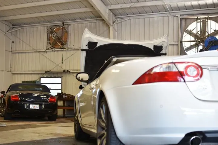 https://cdn.trust-mechanics.com/photos/f0wWkTvVBHvFNJH7Ij7m/f5473f01-8ec2-4420-9b69-9c81e985ecef_720x720