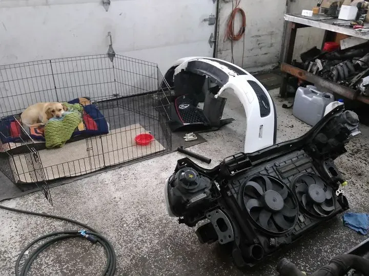 https://cdn.trust-mechanics.com/photos/fkBXqejIOO4JAUJD4cqV/c45d87fe-684b-49dd-b4f5-1b3a6e407798_720x720