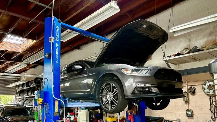 https://cdn.trust-mechanics.com/photos/g1FjnzKwjcjkzSKKtJeT/89dd4718-616b-4659-930b-10763908f295_720x720