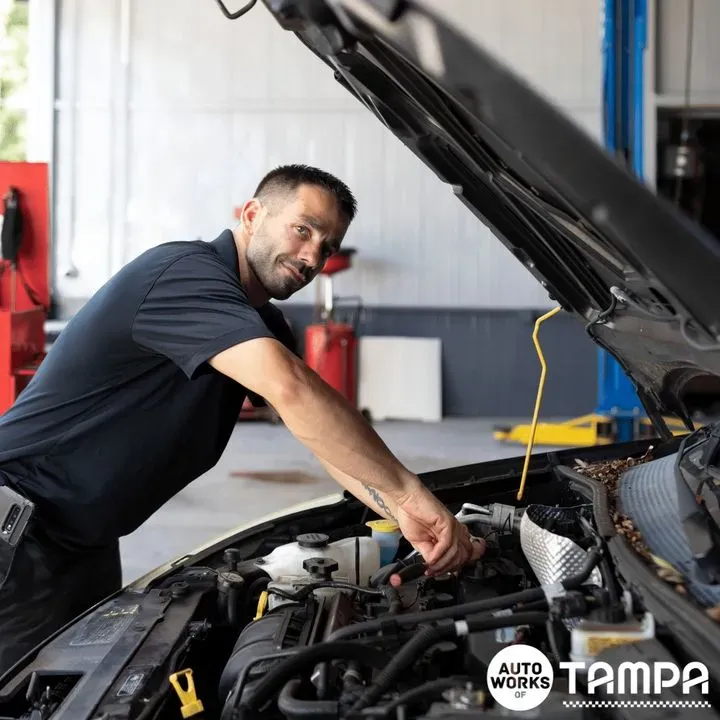 https://cdn.trust-mechanics.com/photos/gCUk0MjKlAhxZLMLq4mj/b41efd82-fdb5-4131-9d32-fa345f865a31_720x720